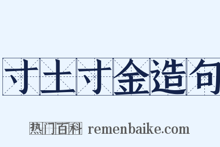 寸土寸金造句是什么意思的图片